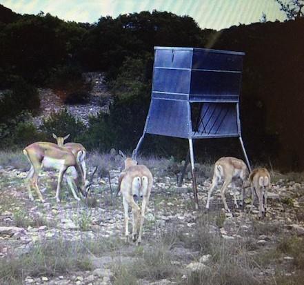 7997 Sd 52100 Rocksprings, TX 78880 - Photo 10 of 71
