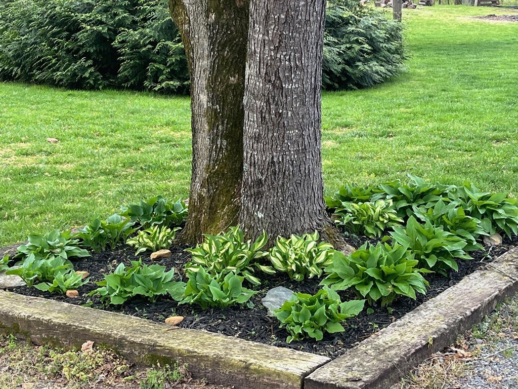 398 Smokeford Road Murphy, NC 28906 - Photo 43 of 46