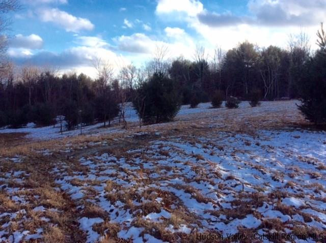 213 Vly Atwood Road Stone Ridge, NY 12484 - Photo 12 of 33 a view of backyard with green space