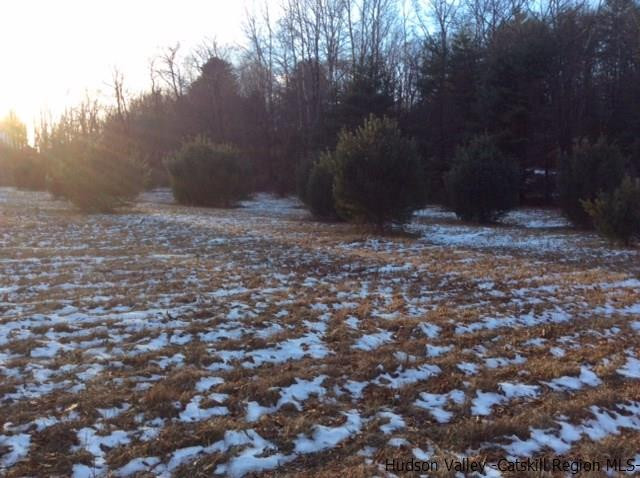 213 Vly Atwood Road Stone Ridge, NY 12484 - Photo 13 of 33 a view of a yard