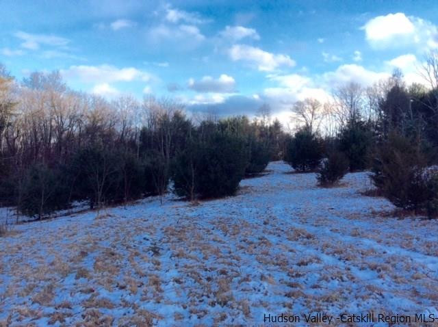 213 Vly Atwood Road Stone Ridge, NY 12484 - Photo 18 of 33 a view of the forest