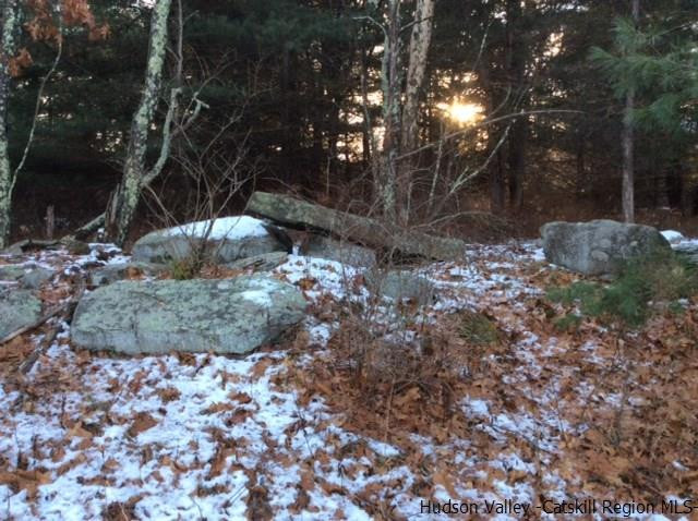 213 Vly Atwood Road Stone Ridge, NY 12484 - Photo 23 of 33 a view of a backyard of the house