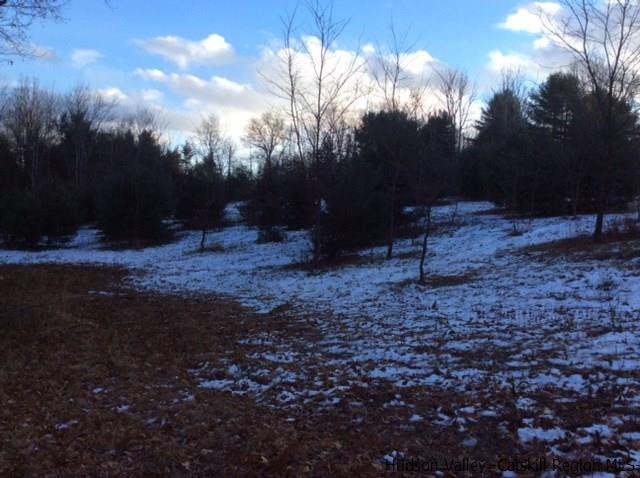 213 Vly Atwood Road Stone Ridge, NY 12484 - Photo 24 of 33 a view of a backyard