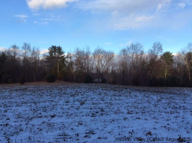 213 Vly Atwood Road Stone Ridge, NY 12484 - Photo 27 of 33 a view of a yard