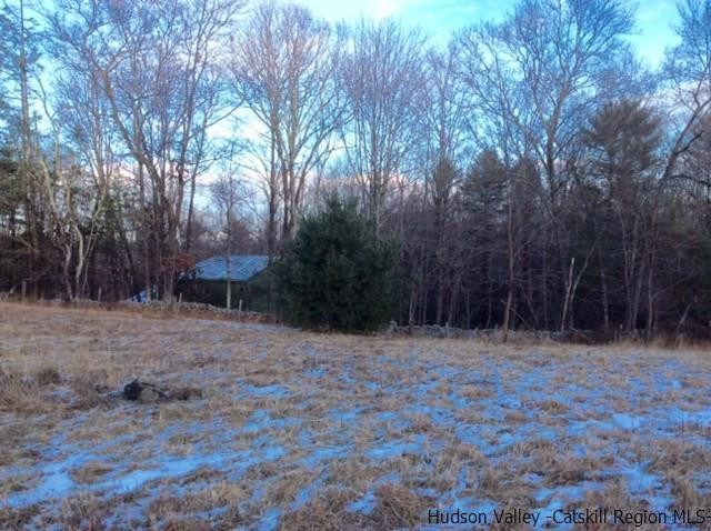 213 Vly Atwood Road Stone Ridge, NY 12484 - Photo 29 of 33 a backyard of a house with lots of green space