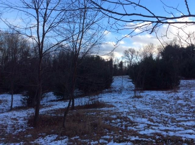 213 Vly Atwood Road Stone Ridge, NY 12484 - Photo 30 of 33 a view of backyard with green space