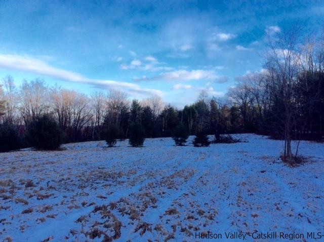213 Vly Atwood Road Stone Ridge, NY 12484 - Photo 3 of 33 a backyard of a house