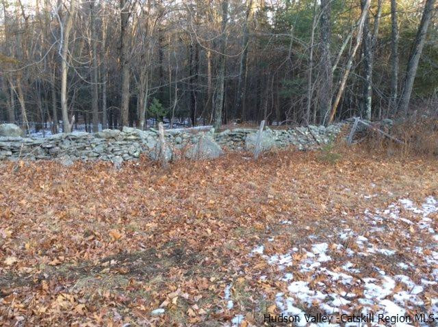 213 Vly Atwood Road Stone Ridge, NY 12484 - Photo 31 of 33 a view of outdoor space with trees