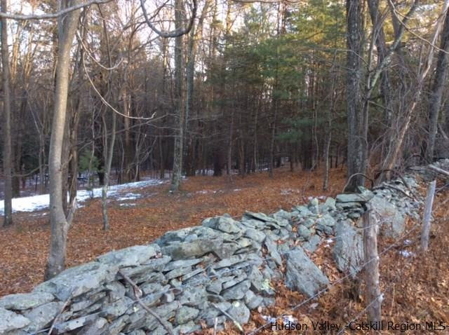 213 Vly Atwood Road Stone Ridge, NY 12484 - Photo 32 of 33 a backyard of a house with lots of green space
