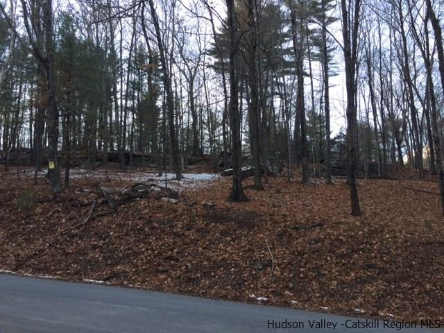 213 Vly Atwood Road Stone Ridge, NY 12484 - Photo 4 of 33 a view of outdoor space with lots of trees
