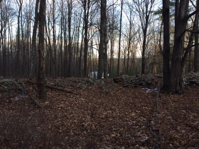 213 Vly Atwood Road Stone Ridge, NY 12484 - Photo 7 of 33 a view of outdoor space and yard