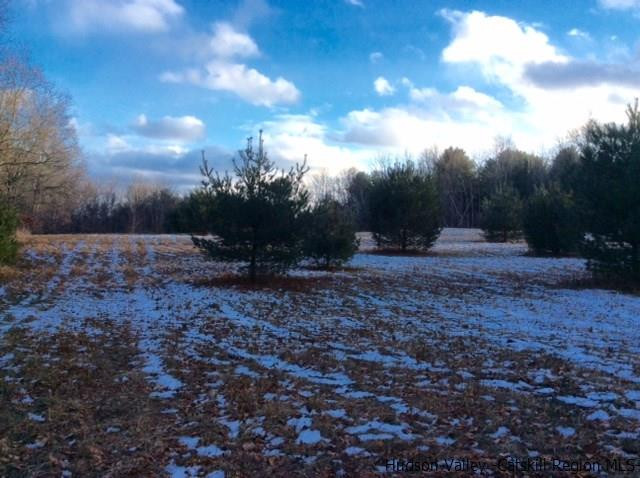 213 Vly Atwood Road Stone Ridge, NY 12484 - Photo 8 of 33 a view of outdoor space with trees
