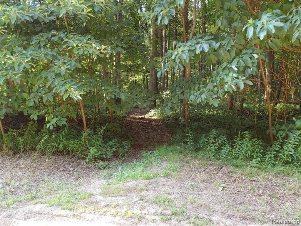 Vacant Fessner Road Carleton, MI 48117 - Photo 2 of 8 Gallery Image 2