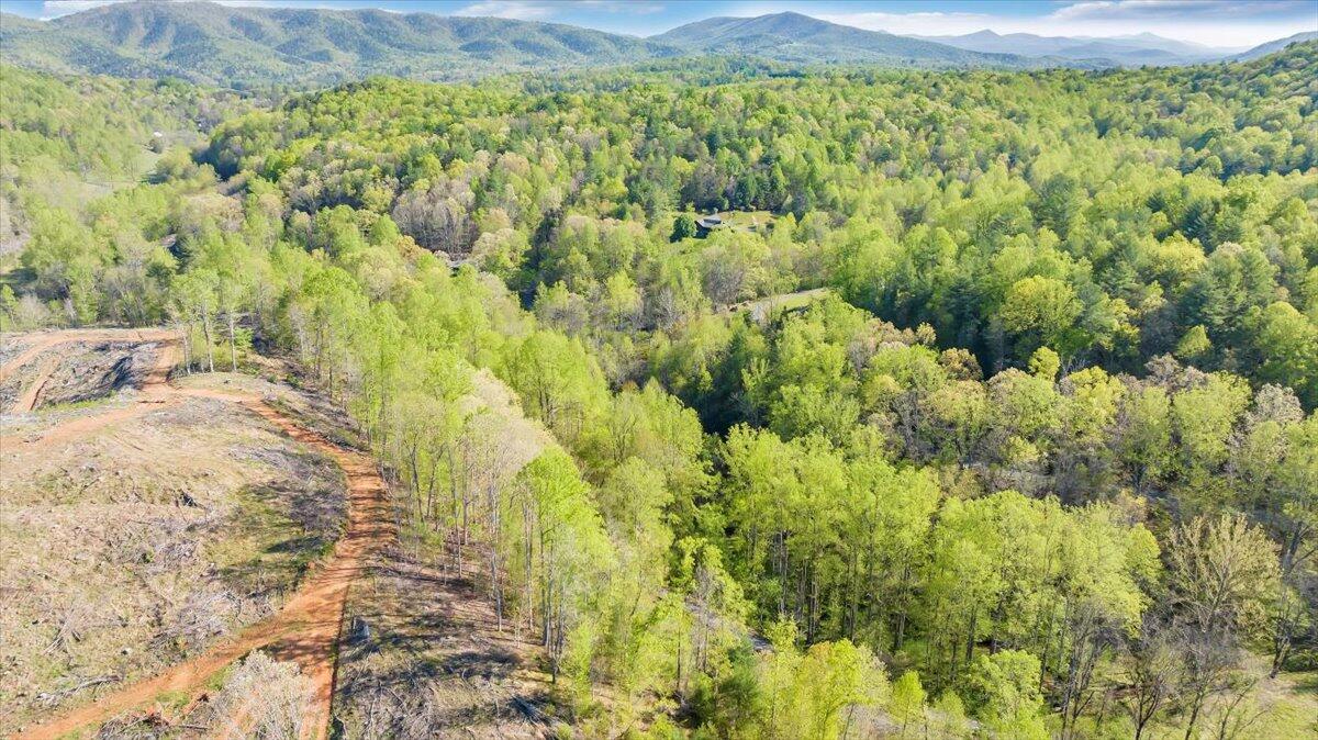 7475 Willow Branch Road Boones Mill, VA 24065 - Photo 15 of 30 a view of a garden with a tree