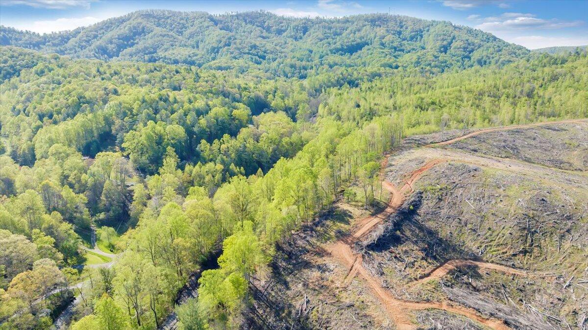 7475 Willow Branch Road Boones Mill, VA 24065 - Photo 18 of 30 a view of a yard with a tree