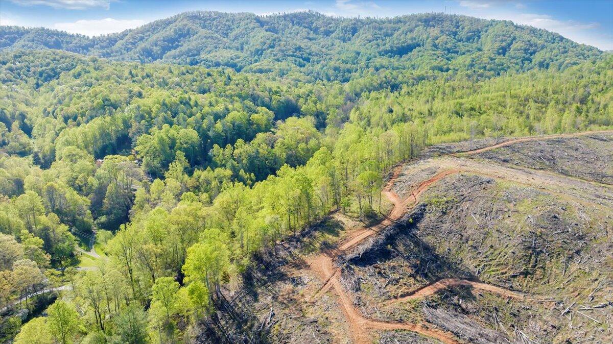 7475 Willow Branch Road Boones Mill, VA 24065 - Photo 19 of 30 a view of a forest with a forest
