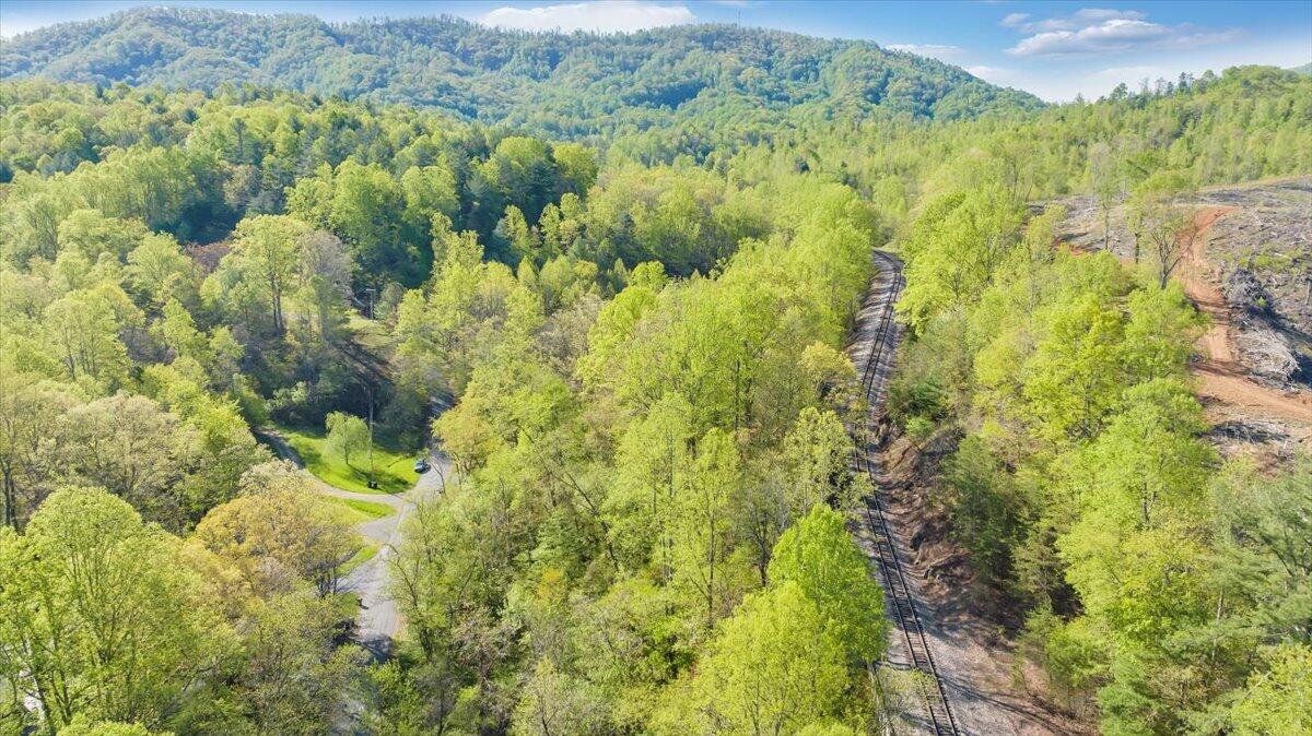 7475 Willow Branch Road Boones Mill, VA 24065 - Photo 20 of 30 a view of a forest with a street