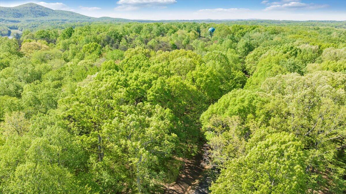 7475 Willow Branch Road Boones Mill, VA 24065 - Photo 21 of 30 a view of a green field with a tree