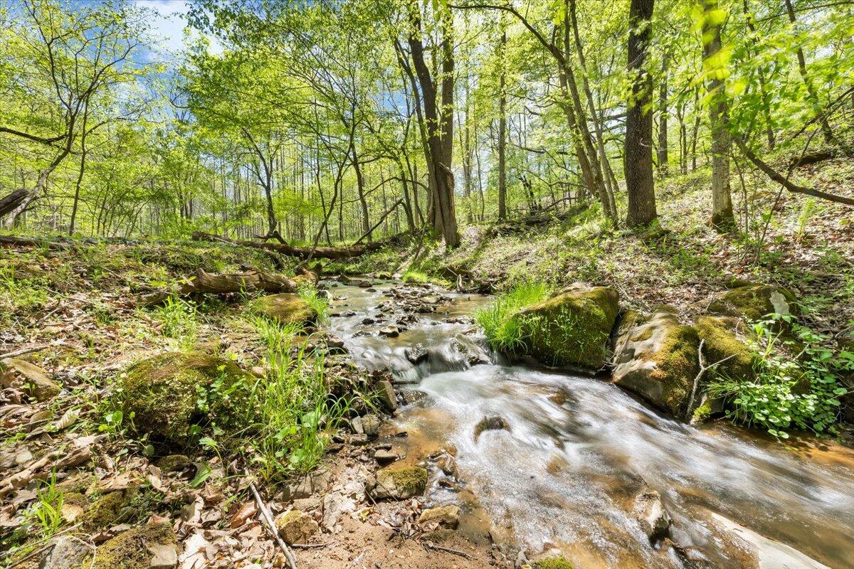 7475 Willow Branch Road Boones Mill, VA 24065 - Photo 23 of 30 a view of backyard with green space