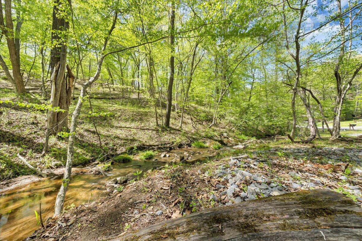 7475 Willow Branch Road Boones Mill, VA 24065 - Photo 24 of 30 a view of empty yard with large trees