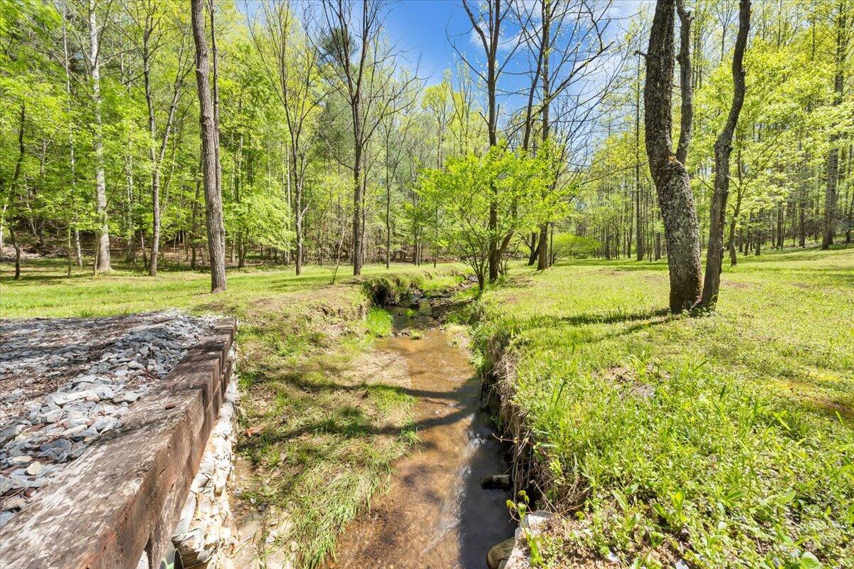 7475 Willow Branch Road Boones Mill, VA 24065 - Photo 27 of 30 a view of a yard with trees