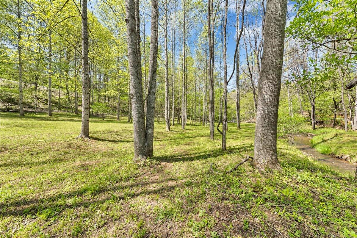 7475 Willow Branch Road Boones Mill, VA 24065 - Photo 30 of 30 a view of a park with large trees