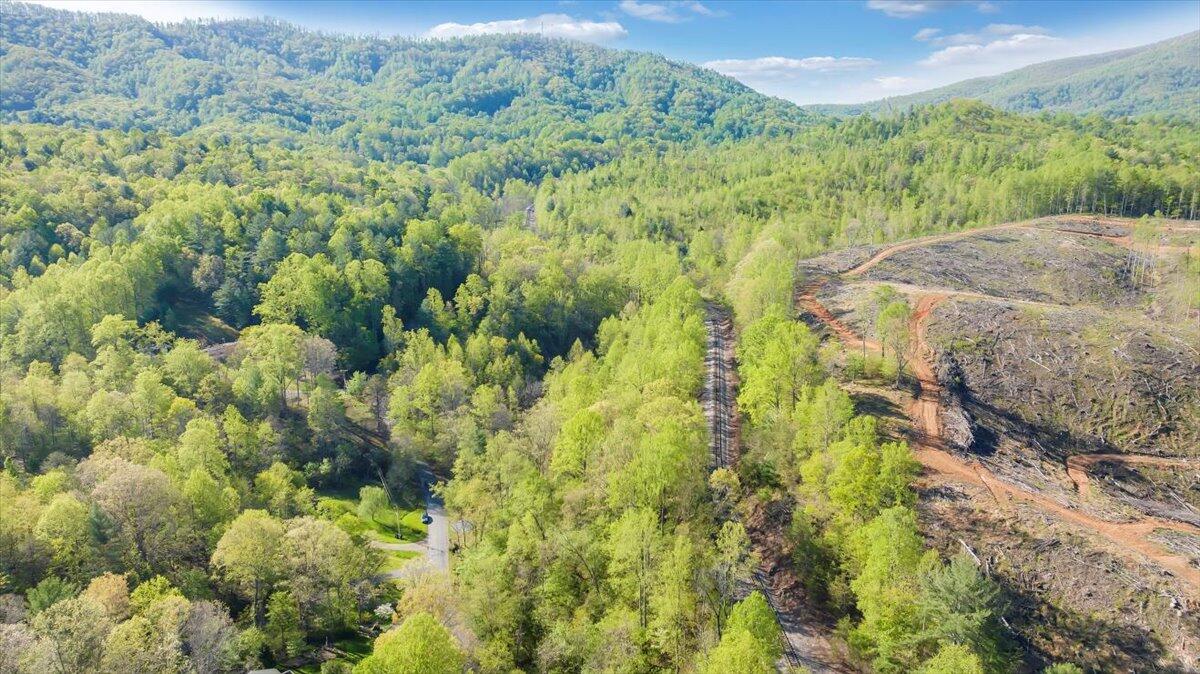 7475 Willow Branch Road Boones Mill, VA 24065 - Photo 3 of 30 a view of a lush green forest with trees and some houses