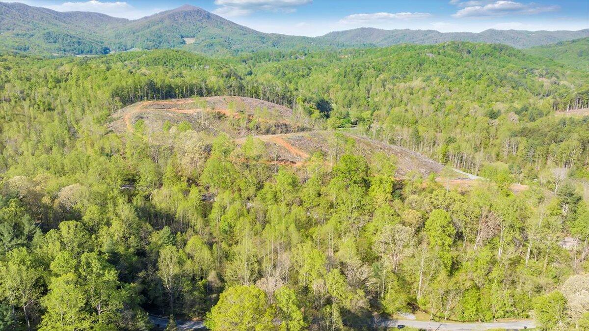 7475 Willow Branch Road Boones Mill, VA 24065 - Photo 5 of 30 a view of a yard with an outdoor space