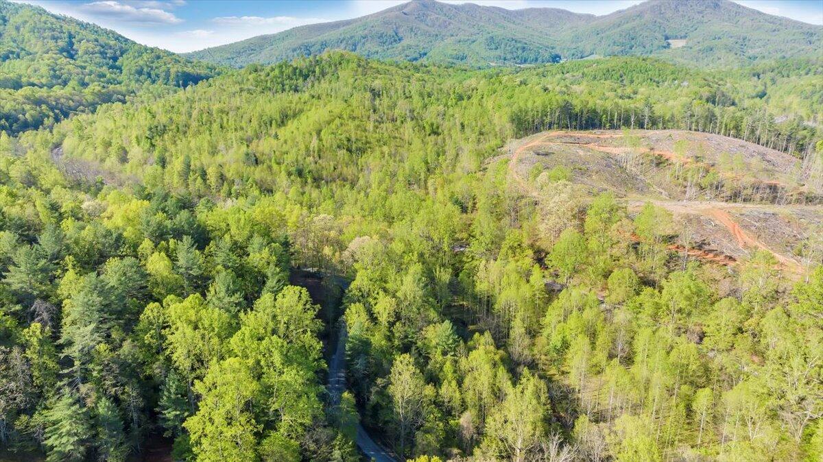 7475 Willow Branch Road Boones Mill, VA 24065 - Photo 6 of 30 a view of a lush green outdoor space with a lake view