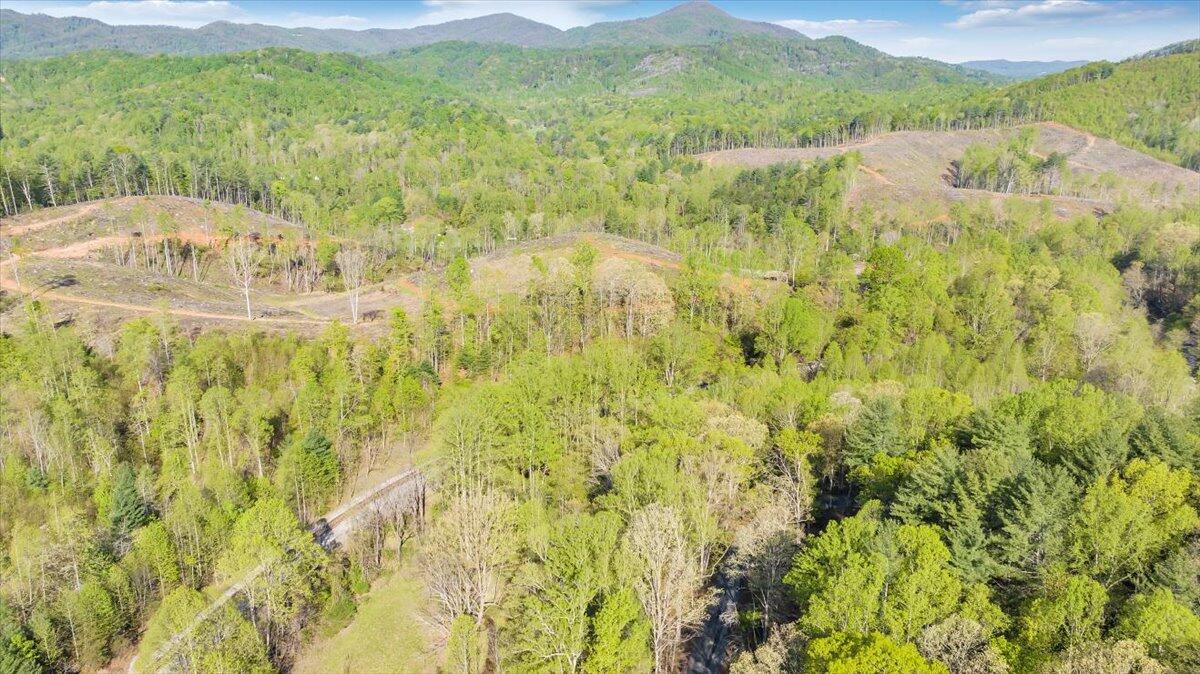 7475 Willow Branch Road Boones Mill, VA 24065 - Photo 7 of 30 a view of a lake with a mountain