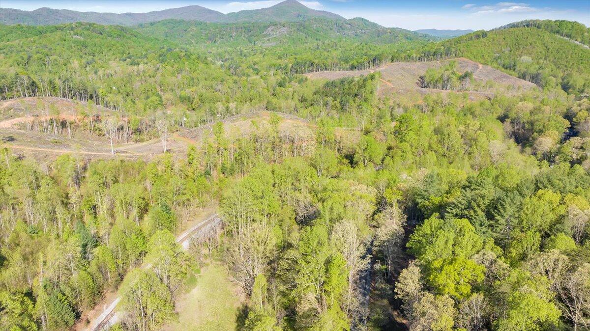 7475 Willow Branch Road Boones Mill, VA 24065 - Photo 8 of 30 a view of a lake from a yard