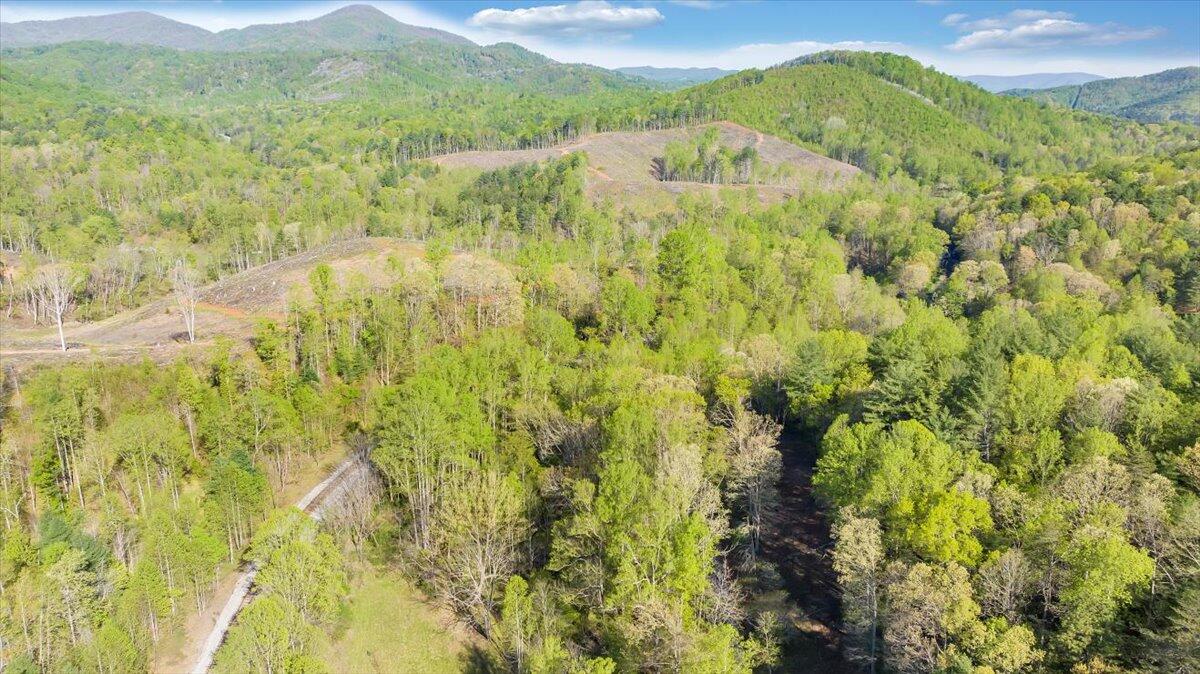 7475 Willow Branch Road Boones Mill, VA 24065 - Photo 9 of 30 a view of lake view and mountain view