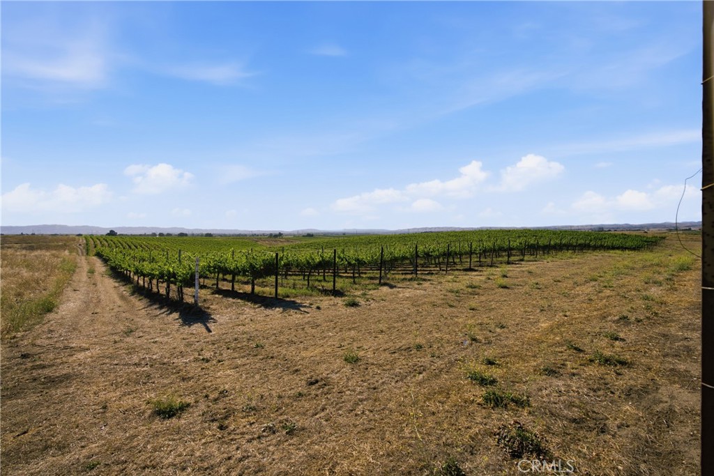 8020 Baron Way Paso Robles, CA 93446 - Photo 72 of 74
