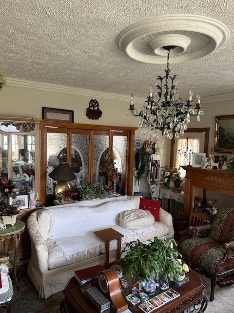 2665 East Sherrill Road Minooka, IL 60447 - Photo 19 of 23 a living room with furniture and a chandelier
