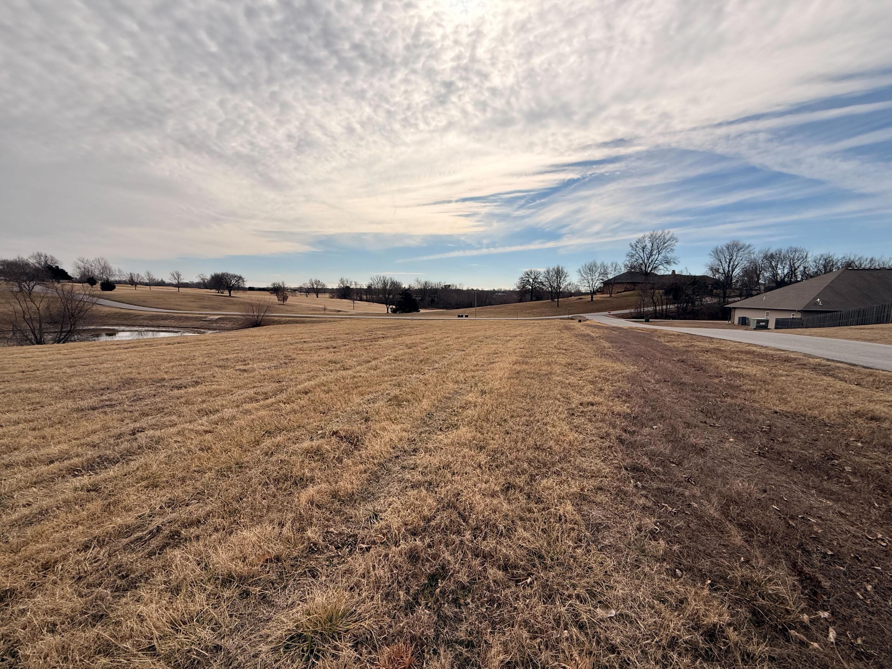 0 Raintree Circle Joplin, MO 64804 - Photo 26 of 26 IMG_8693