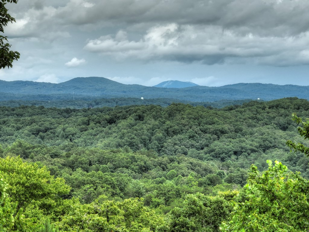 496 Calen Drive Blue Ridge, GA 30513 - Photo 11 of 55