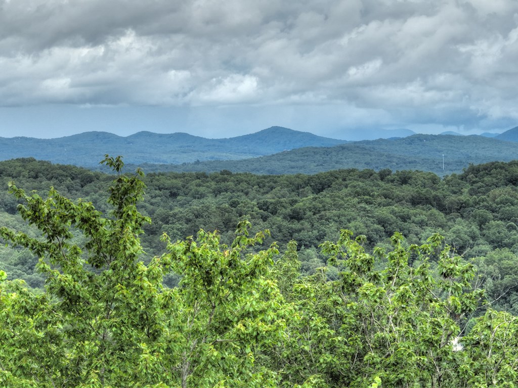 496 Calen Drive Blue Ridge, GA 30513 - Photo 12 of 55
