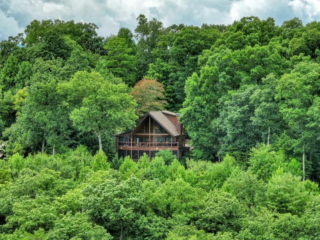 496 Calen Drive Blue Ridge, GA 30513 - Photo 14 of 55