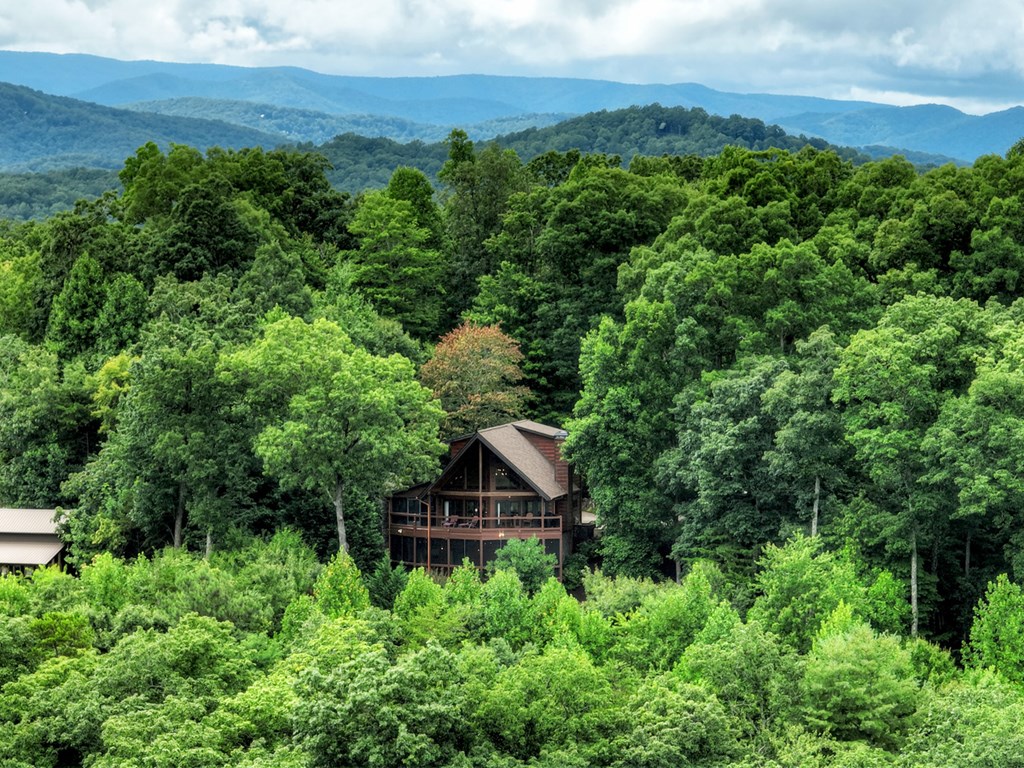 496 Calen Drive Blue Ridge, GA 30513 - Photo 15 of 55