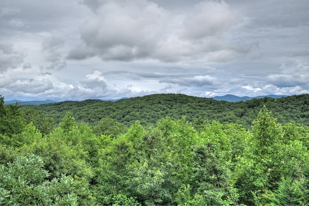 496 Calen Drive Blue Ridge, GA 30513 - Photo 25 of 55