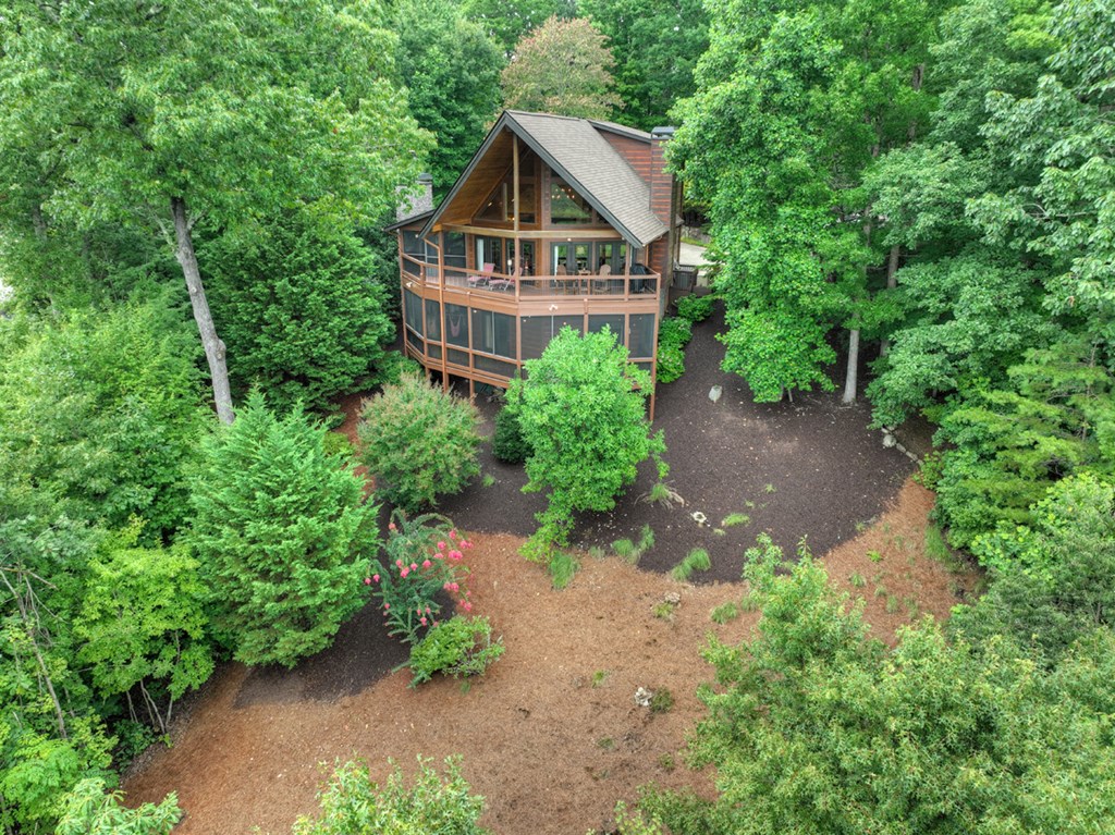 496 Calen Drive Blue Ridge, GA 30513 - Photo 3 of 55