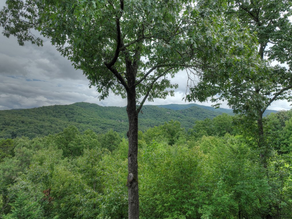 496 Calen Drive Blue Ridge, GA 30513 - Photo 7 of 55