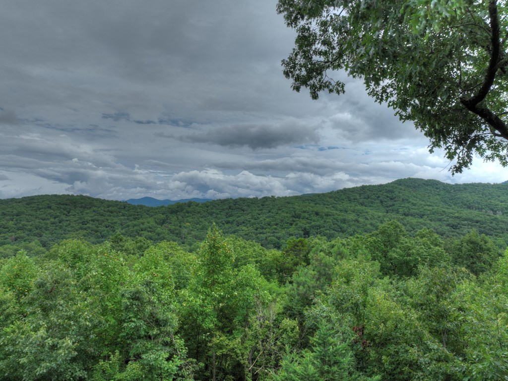 496 Calen Drive Blue Ridge, GA 30513 - Photo 8 of 55