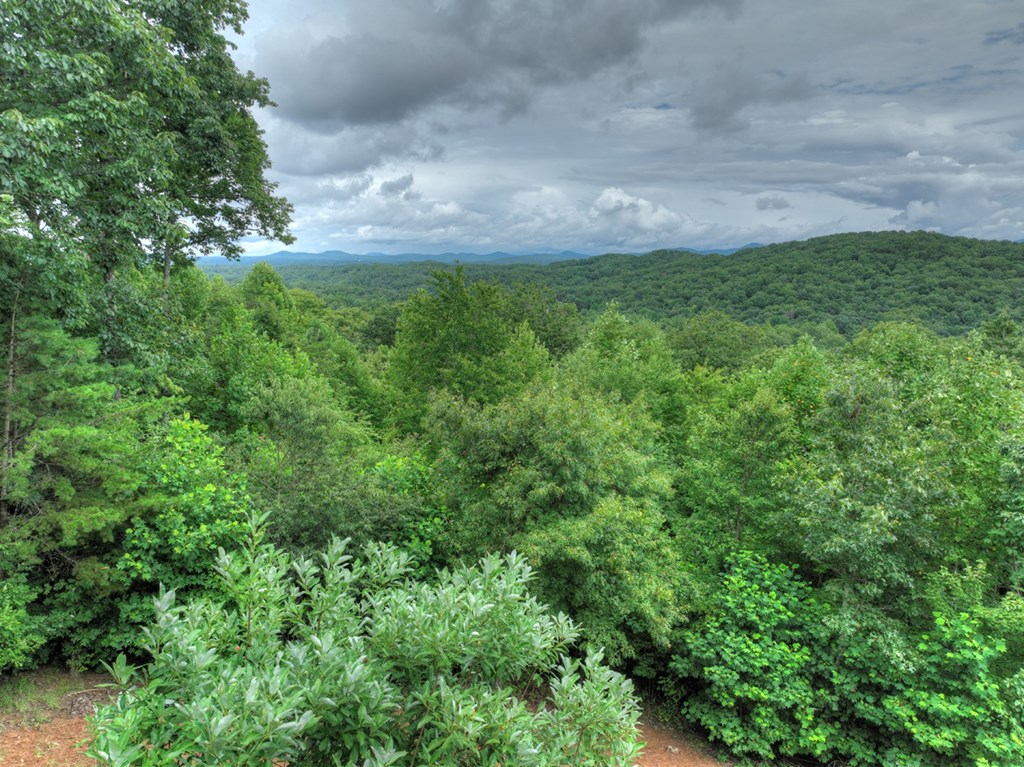 496 Calen Drive Blue Ridge, GA 30513 - Photo 9 of 55