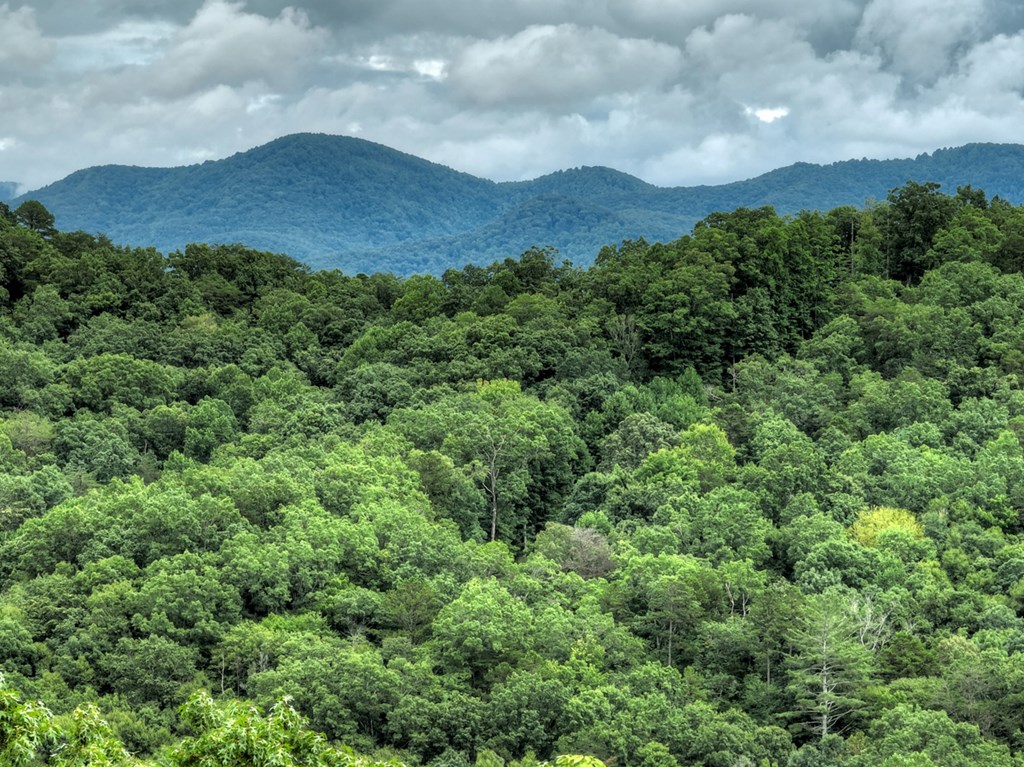 496 Calen Drive Blue Ridge, GA 30513 - Photo 10 of 55