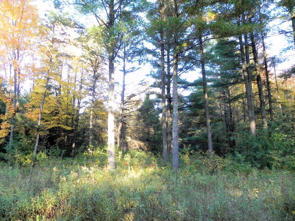 Lot 1 Jenssen Road Frederic, WI 54837 - Photo 1 of 1