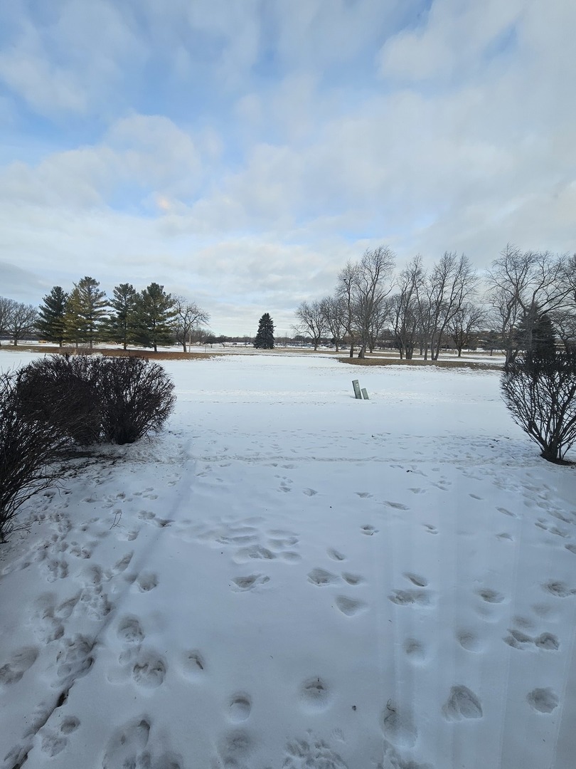1782 Pebble Beach Circle Elgin, IL 60123 - Photo 3 of 19