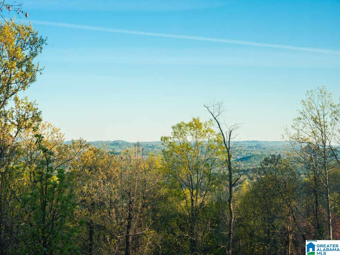 1026 Crest Road Leeds, AL 35094 - Photo 13 of 28