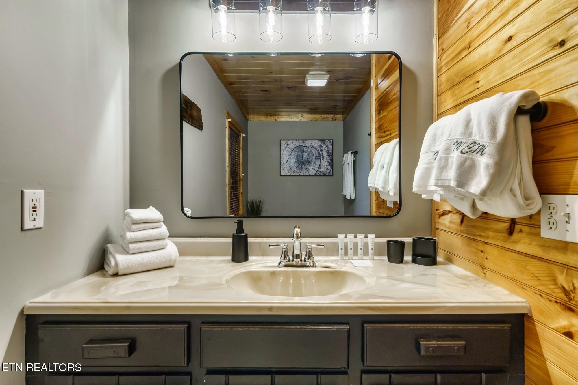 3330 Robeson Road Sevierville, TN 37862 - Photo 14 of 42 a bathroom with a sink and a mirror
