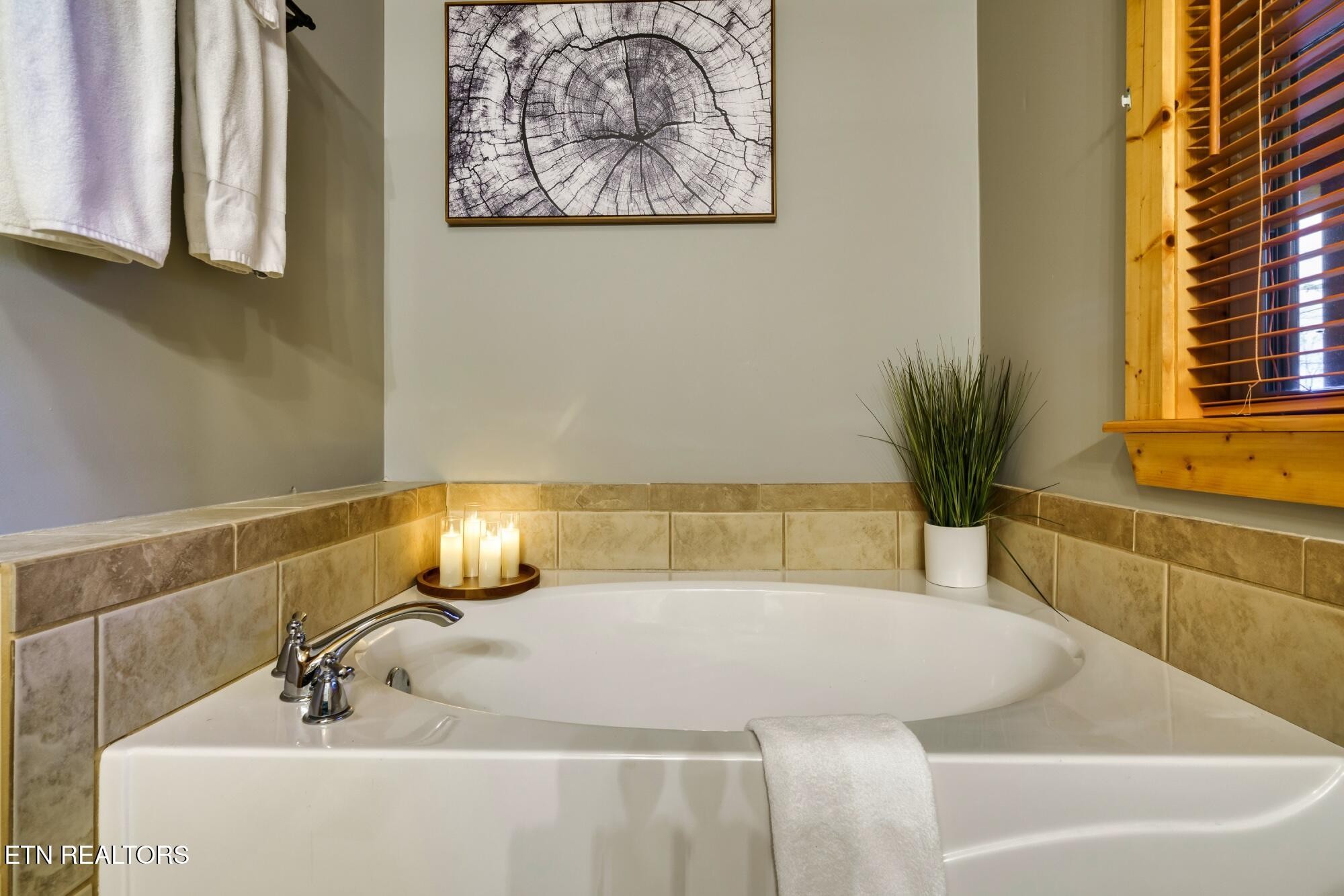 3330 Robeson Road Sevierville, TN 37862 - Photo 15 of 42 a bathroom with a tub and a potted plant